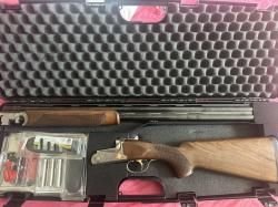 Батинсоли дельта