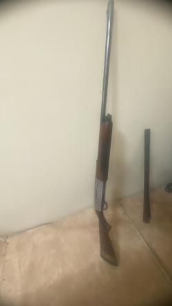 Бекас 12 калибр