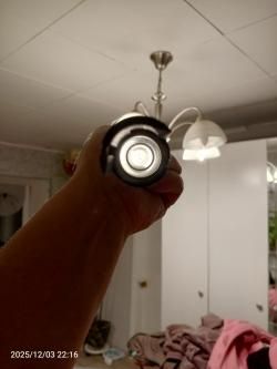 Бекас 12м авто