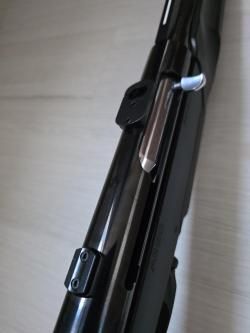 Benelli argo 3006