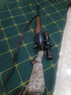 Benelli Argo 308