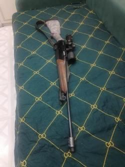Benelli Argo 308