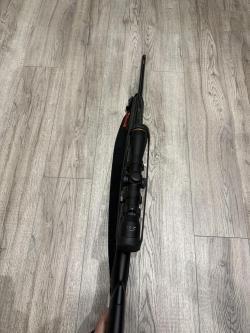 Benelli Argo-E 308 win