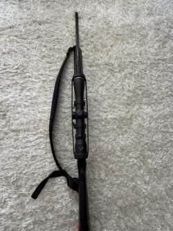 Benelli Argo E 308 win
