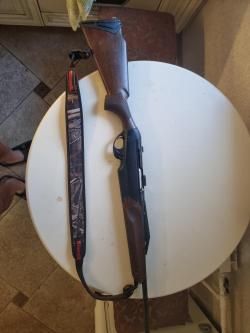 Benelli Argo E 308win