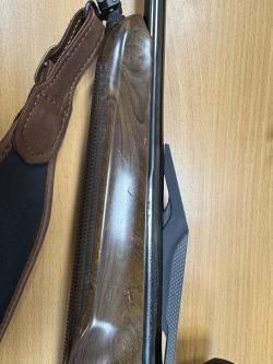 Benelli Argo E pro