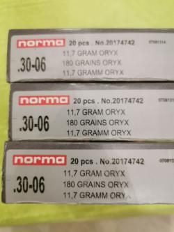 Benelli Argo-E R-1 line