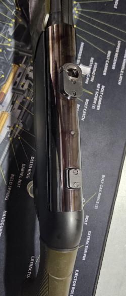 Benelli Argo-E