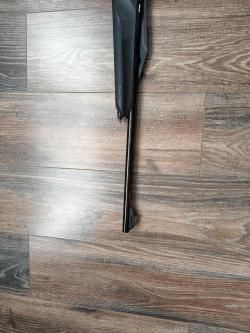 Бенелли Арго