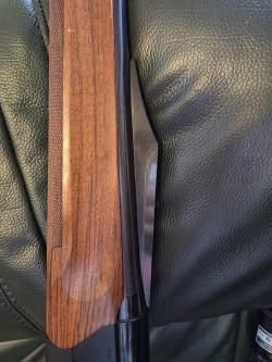 Benelli argo