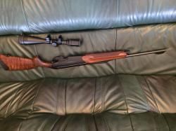 Benelli argo