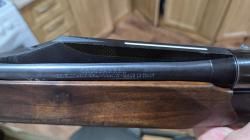 Benelli argo