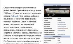 Benelli Armi Dynamic