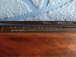 Benelli Armi Dynamic