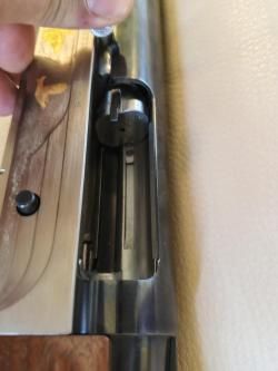Benelli Armi-Urbino