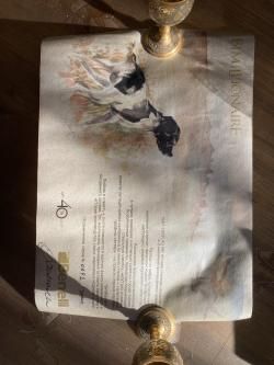 Benelli Bimillionaire