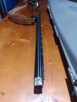 Benelli Dinamic