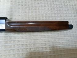 Benelli duca di montefeltro