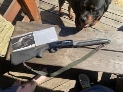 Бенелли монтефельтро