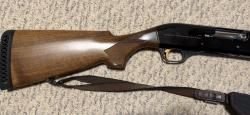 Benelli Montefeltro