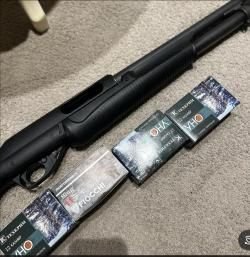 BENELLI Nova