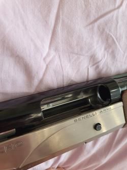 Benelli Rafaello Crio