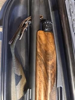 Бенелли Рафаэлло Элегант 