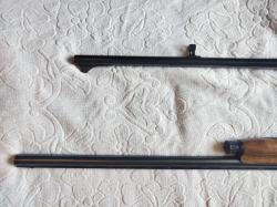 Benelli Rafaello Elegant
