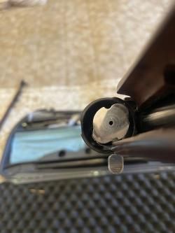 Benelli Rafaelo Crio