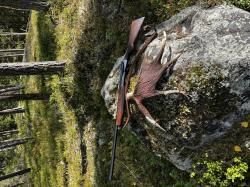 Benelli Rafaello elegant