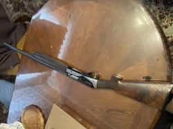 Benelli Rafaello elegant