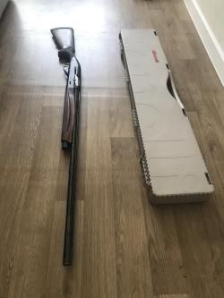 Benelli Raffaello 2013 12/76