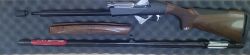 Benelli Raffaello 2013