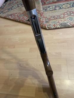Benelli Raffaello Crio 12/76