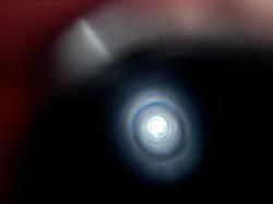 Benelli Raffaello Crio