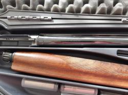 Benelli: Raffaello Dynamic