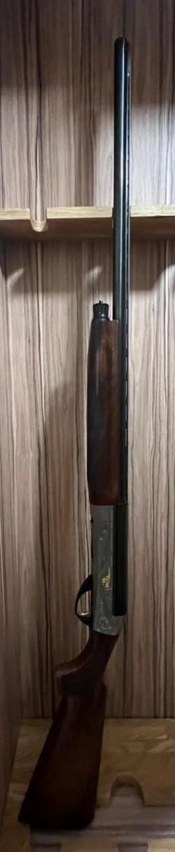 Benelli Raffaello dynamic