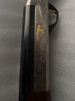 Benelli Raffaello dynamic