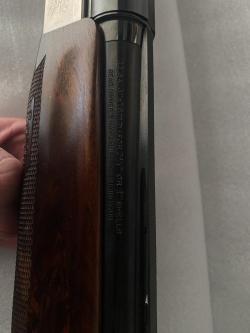Benelli Raffaello dynamic