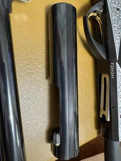 Benelli Raffaello Elegant 12/76