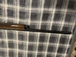 benelli raffaello elegant