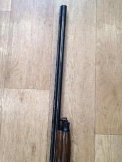 Benelli Raffaello Elegant