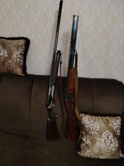    Benelli Raffaello Elegant 