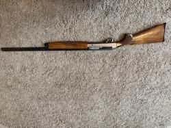 Benelli raffaello S.L 