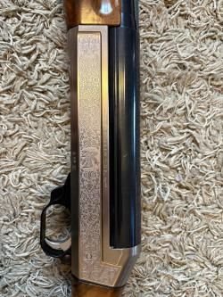 Benelli raffaello S.L 