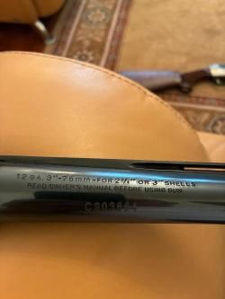 Benelli Raffaello