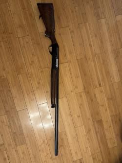BENELLI Raffaelo 12/76