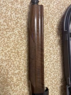 BENELLI Raffaelo 12/76