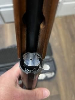 Benelli Raffaelo Elegant 
