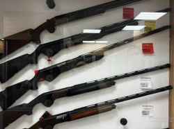 Benelli Vinci Cordoba 12/76